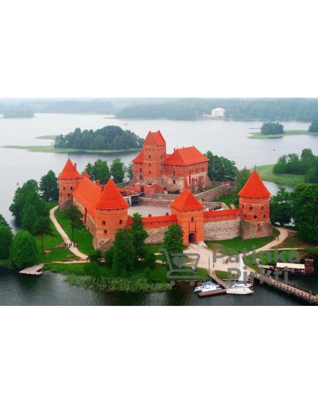 Dėlionė TRAKŲ PILIS TREFL, 1000 dalių
